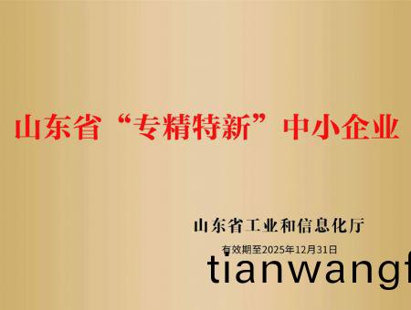 點(dian)擊査看(kan)詳細(xi)信(xin)息<br>標(biao)題(ti)：山東省“專(zhuan)精(jing)特新”中(zhong)小企(qi)業(yè) 閲讀(du)次(ci)數(shù)：3599